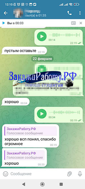 Положительный отзыв № 2 о купленном индивидуальном проекте по ОБЗР для 9 класса из Telegram