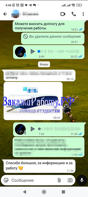 Положительный отзыв № 3 о выполненном на заказ индивидуальном проекте по ОБЗР для 9 класса из Telegram