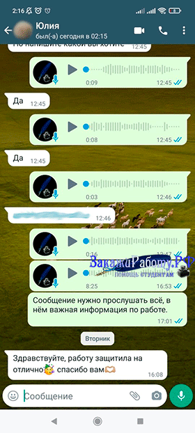 Положительный отзыв об индивидуальном проекте выполненном на заказ из WhatsApp (Отзыв № 5)