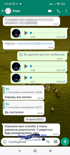 Положительный отзыв к курсовой из WhatsApp