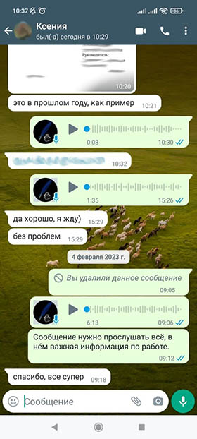 Положительный отзыв о готовой проектной работе из WhatsApp