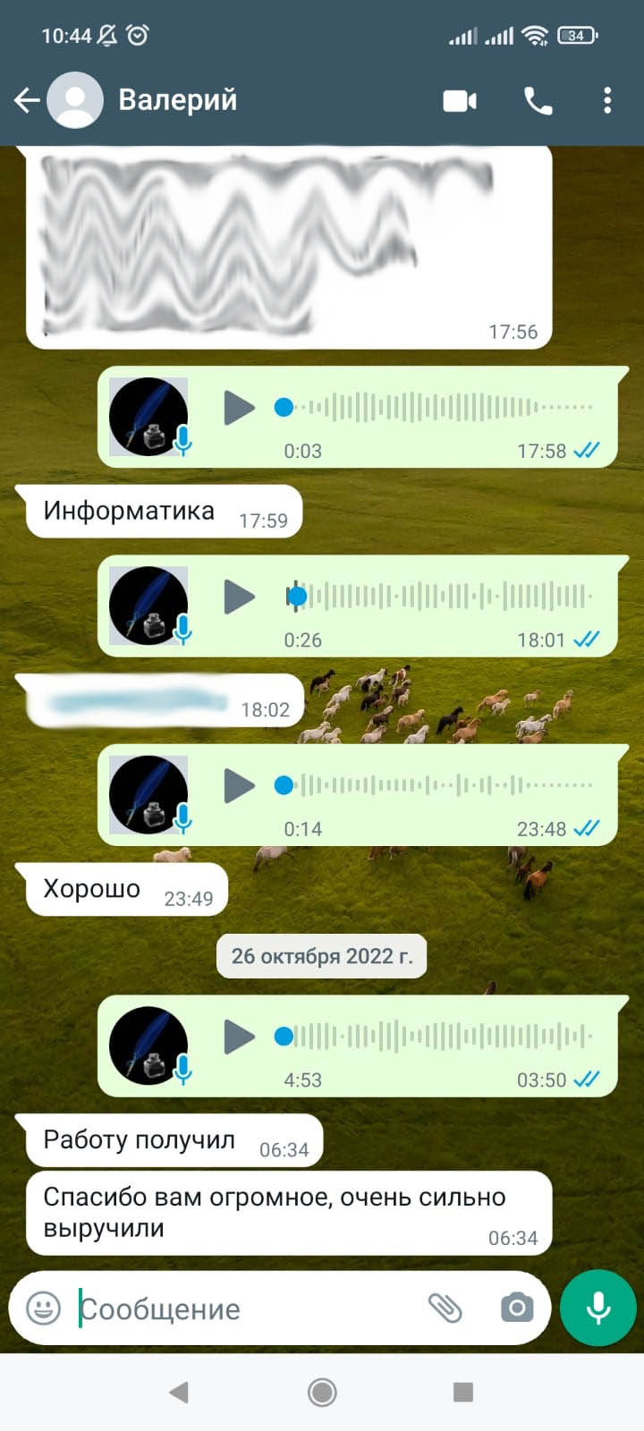 Положительный отзыв о готовом индивидуальном проекте из WhatsApp