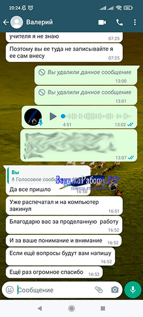 Положительный отзыв о готовом индивидуальном проекте из WhatsApp