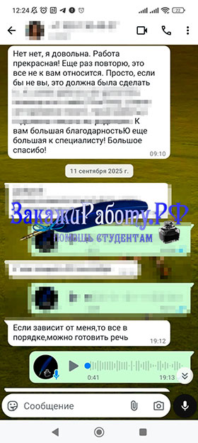 Положительный отзыв к проектной работе для начальной школы из WhatsApp (Отзыв № 5)